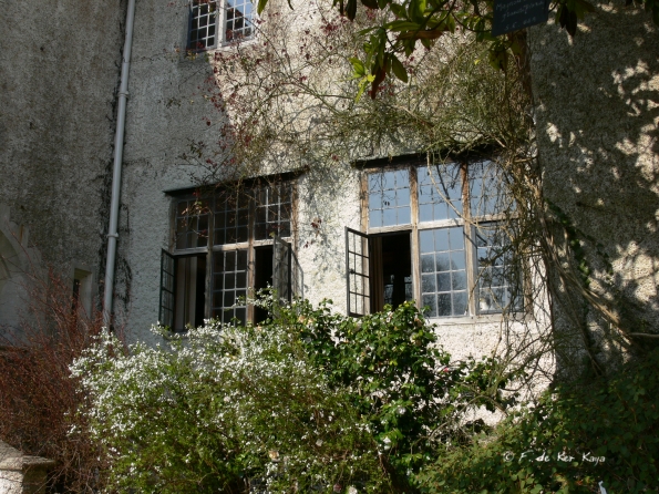 Bois des Moutiers (121) mars 2012